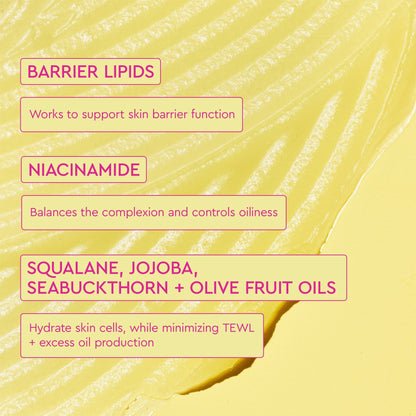 The infographic provides information about key ingredients and their benefits: Barrier Lipids, Niacinamide, and Squalene, Jojoba, SeaBuckthorn, Olive Fruit Oils.