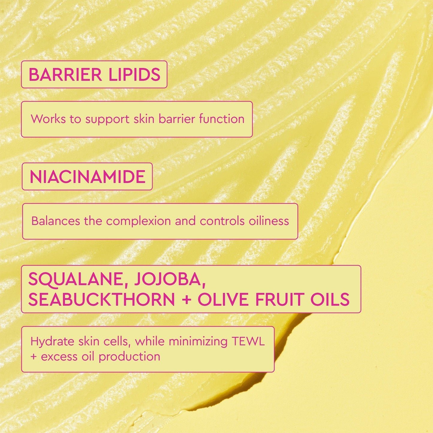The infographic provides information about key ingredients and their benefits: Barrier Lipids, Niacinamide, and Squalene, Jojoba, SeaBuckthorn, Olive Fruit Oils.
