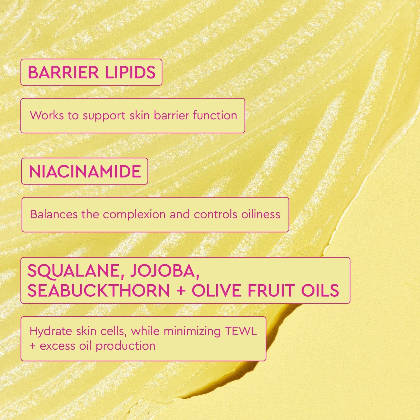 The infographic provides information about key ingredients and their benefits: Barrier Lipids, Niacinamide, and Squalene, Jojoba, SeaBuckthorn, Olive Fruit Oils.